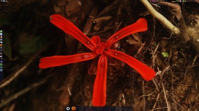 Debian desktop with panels